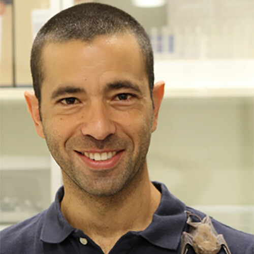 Dr Yossi Yovel